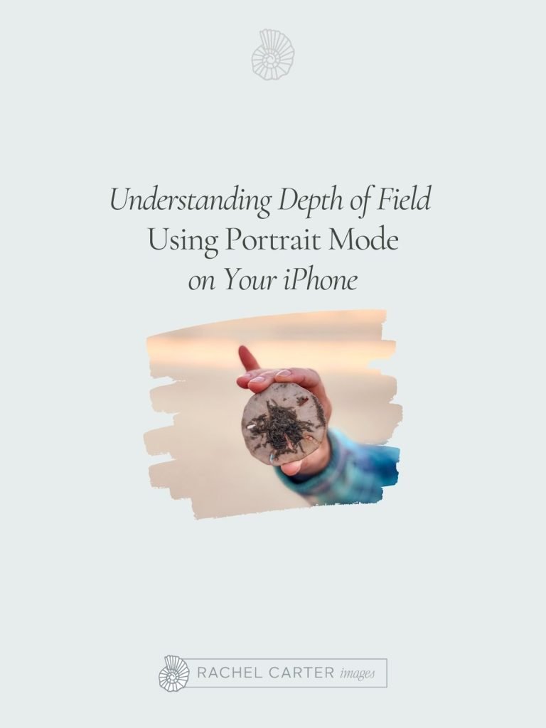 Understanding Depth of Field Using Portrait Mode on iPhone